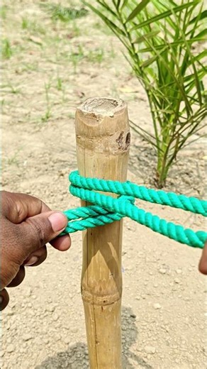 Brilliant Rope Knots That Are Super Easy and Fast
