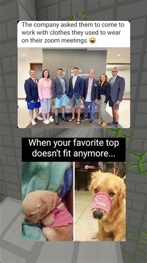 My Zoom Fit Went So Hard In 2020 😭