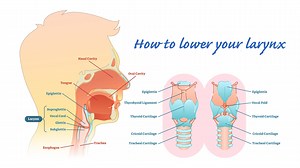 【オペラ歌手への第一歩】声楽テクニック！喉を下げて歌う方法！ | 音楽に寄せて