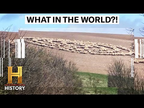 4 FREAKY PHENOMENA CAN'T BE EXPLAINED | The Proof Is Out There | History