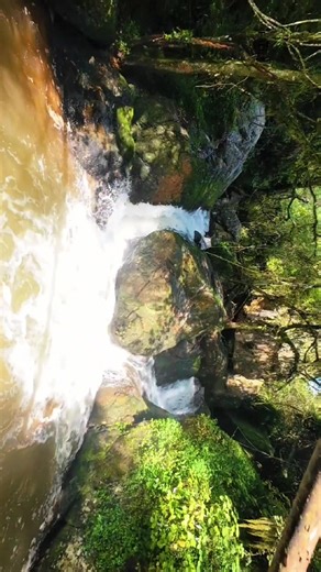 Getting Lost in Nature: A Different Perspective