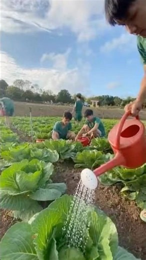 Chiến sĩ trồng cây xanh #farming #giadinh #vuinhon #military #army