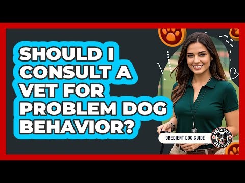 Should I Consult A Vet For Problem Dog Behavior?