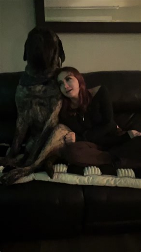Bear loves his sister!! ❤️🐾 #englishmastiff #em #mastiff #squishy #fyp #fypシ #fypage #woof #bear #lapdog #bigdog #dogsoftiktok #hercules #dogsoftiktokviral #sandlot #dogsoftiktokviral🐶🦮 #sweetboy #bigbaby #mastiffsoftiktok #mastiffs #mastifflover #squishyface #jowls