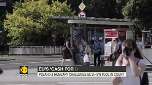 3.9K views · 121 reactions | Amid tensions over the threat of the possible Russian invasion, websites of the Ukrainian army, defence ministry, major banks were knocked offline in series of cyberattacks. Is Russia behind these cyberattacks? Watch more: wionews.com/videos | WION | Facebook