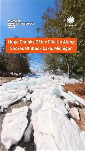 Watch Ice Take Over This Entire Shoreline, Trees