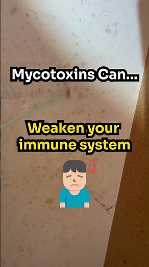 What You Need to Know About Mycotoxins