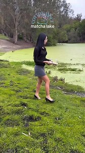 197K views · 5.1K reactions | Diet Dr Kelp is crazy  | Cartoon Connect | Facebook