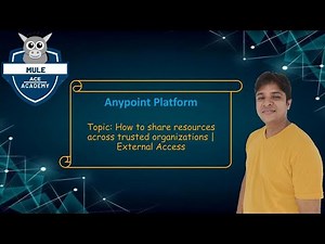 Anypoint Platform: How to share resources across trusted organizations | External Access