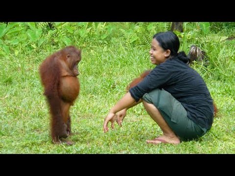 Funny Animals That Will Instantly Brighten Your Day 😻🐶