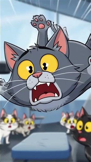 First day at gym be like 💀🐱