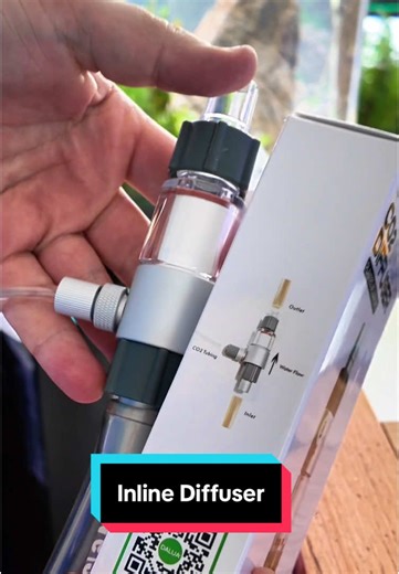 This Dalua Fresh Inline CO2 Diffuser adds a clean asthetic to your tank if you’re sick of seeing too much gear and not enough aquarium 🐟🌱 #co2 #aquarium #inline #diffuser #aquascaping #plantedtank #aquariumhobby