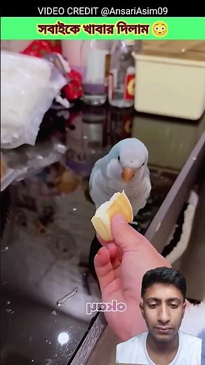 5 Simple Tricks to Instantly Improve Your SKILLS in Just One Week