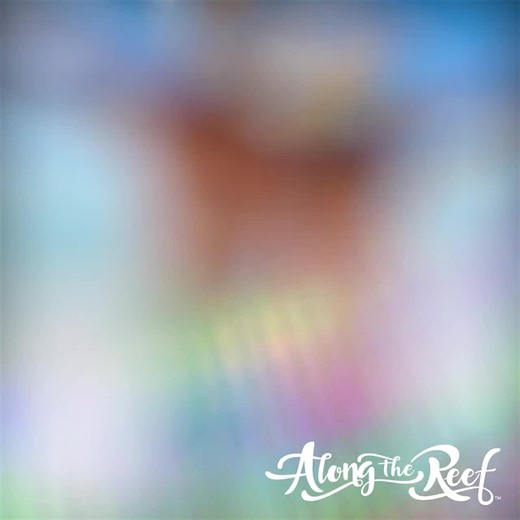 Tropical Fish Coffee Mug: Parrotfish Coral Reef Art - Etsy