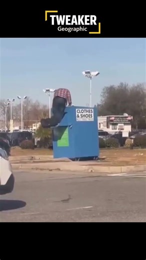 TweakerGeographic episode 17: Tweaker nest #tweaker #tweakers #funny #viral #nationalgeographic