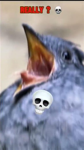 From Calm Bird Songs to TERRIFYING Screams (Wait for the Last Clips) #shorts