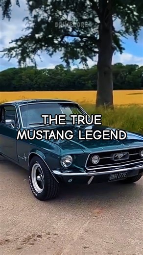 THIS MUSTANG BROKE AMERICA! (The '67 GT Story) #shorts #mustanggt #carlegends