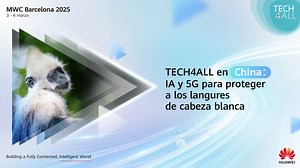 #TECH4ALL está utilizando monitoreo inteligente para proteger al langur de cabeza blanca, en peligro crítico de extinción, en Guangxi. 🐵🌿 Las cámaras y los análisis de IA en tiempo real han detectado langures más de 15,200 veces, lo que permite esfuerzos de protección específicos y ayuda a prevenir la pérdida de su hábitat y la caza furtiva. Conoce más: https://bit.ly/4hYfgJA ¡Mantente atento de más iniciativas de #TECH4ALL en #MWC25! | Huawei Latinoamérica