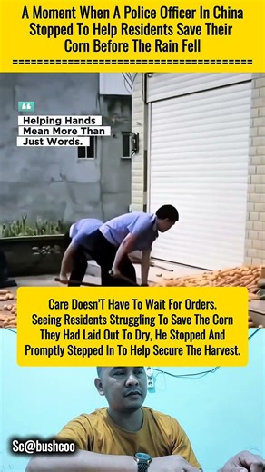 A Helping Hand Speaks Louder Than Words #shorts #kindness #humanity #inspiration #emotionalstory