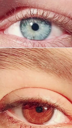 Doctor Nathan on TikTok