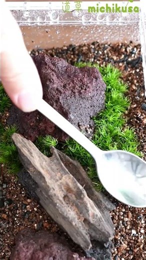 簡単イモリウムの作り方を教えます