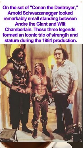 Arnold, Wilt, and Andre: The Ultimate Trio!