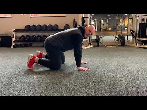 Plank - Bear - leg lift