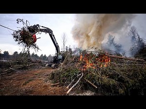 The First Stages of Building a Subdivision (Land Clearing with Excavator and Skid Steer)