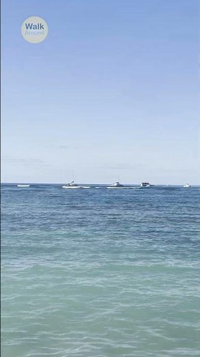 【#Shorts】 Honolulu, Hawaii