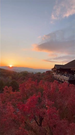 【紅葉】清水寺紅葉【ライトアップ】（京都）