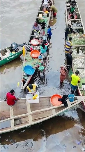 Welcome to Lilian’s Documentary subscribe 😍now