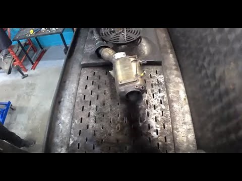 A Dpf Cleaner Montage from 30min dpf clean