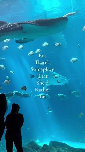 Discover the Majestic Whale Shark at Georgia Aquarium