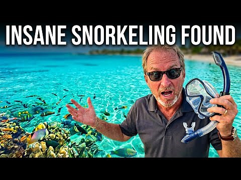 Discovering Secret Snorkel Spots in Curaçao 2025!