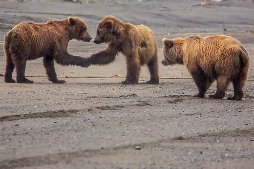 Proceso de contratación de personal