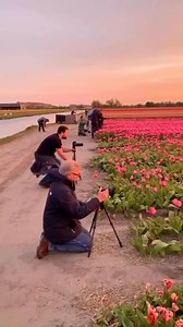 you won't believe the price of the most expensive.! | UPPZ President Charles Chanda