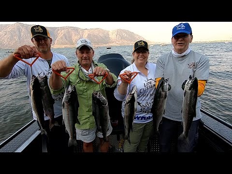 Columbia River Sockeye Salmon