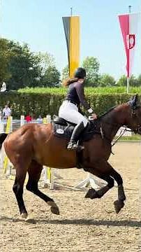 Reit - und Springturnier Heuchlingen 09.08.2025 (12)