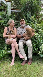 Leanr a little about these amazing gibbons at Myrtle Beach Safari Wild Encounters Tour! | The Reptile Zoo