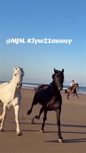 MJ M (@mj.m183)’s videos with original sound - mto9143