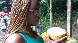 🥥🌳One of the good things to do after your Canopy walkway/Hiking is to regain your Strength back with Fresh Coconut water from the Rain park Cocoa Vendor. .enjoy some more highlights Tour with Lashonda and Group Adventure tour. #KakumRainforestPark #EpicExperience2021 #adventure #Panafest2021 #kumasiwalkingdaytours | Cultured Ghana