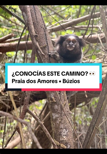 Sendero a Praia dos Amores en Búzios: cómo llegar y qué esperar