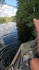 Catching Bass on a Yellow worm Mobile Tensaw Delta,