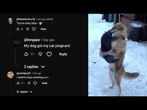 I Asked My Comment Section To Caption This Image