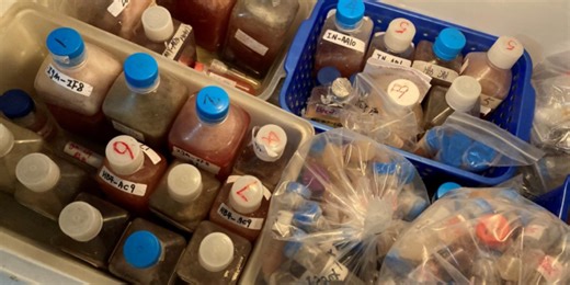 FDA issues safety alert on pregnancy tests after bust on illegal medical lab