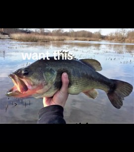 fishing.master on TikTok