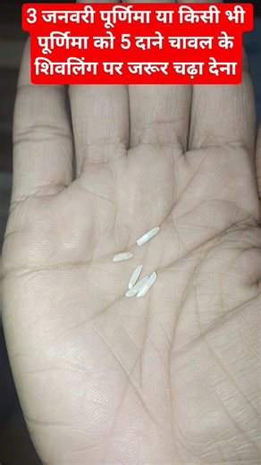 3 जनवरी पूर्णिमा या किसी भी पूर्णिमा को 5 दाने चावल के शिवलिंग पर जरूर चढ़ा देना#devotional#facts#