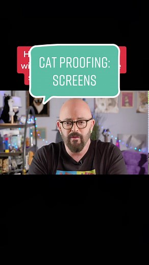 Cat Proofing Tips: Keeping Your Feline Friends Safe at Home