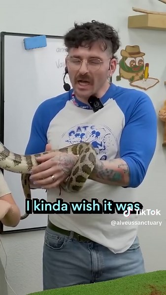 Meet Noodle: The Friendly Carpet Python | Alveus Sanctuary