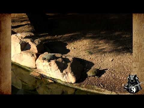 Zoo de Córdoba - 2020-02-11